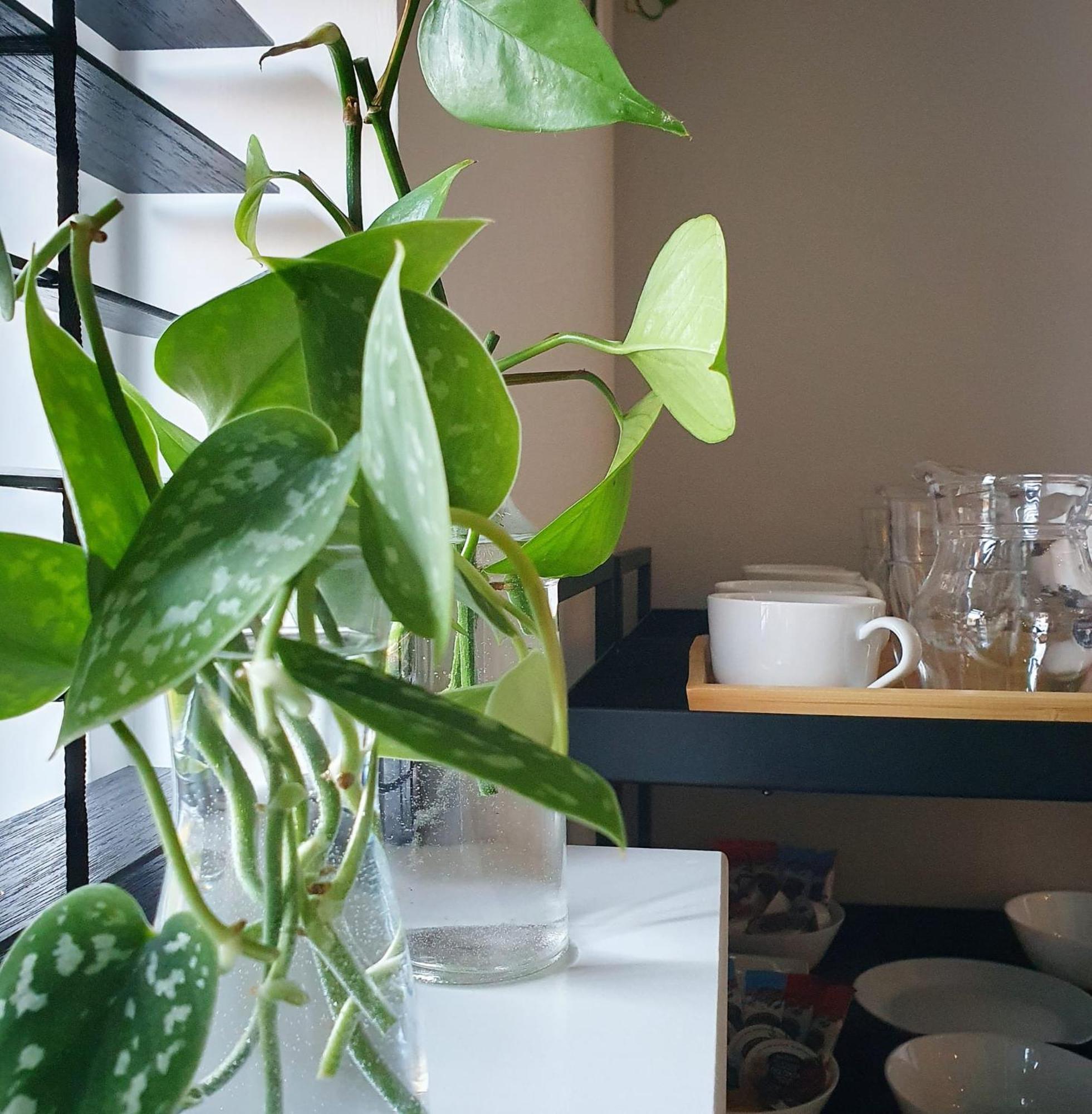 Bed And Breakfast 'Wij En De Zande' Kamperveen Exteriör bild